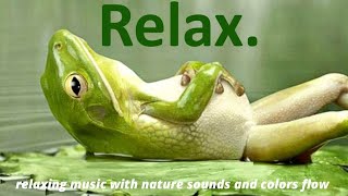 1 Hour of Relaxing SoftCalmPianoMusic#meditation music#ecafe