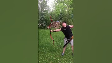 Heavy War Bow 130lb destroys Arrow
