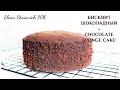 Бисквит шоколадный - идеальный рецепт! Chocolate Sponge || Elena Stasevich HM