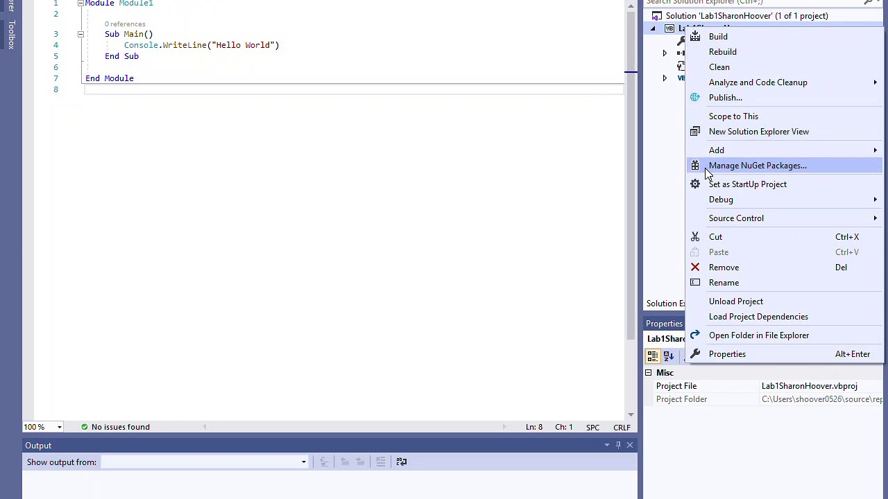 Update New Zipping Up a Visual Studio 2019 Project