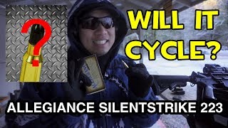Allegiance SilentStrike 223 (Specialty subsonic ammo)
