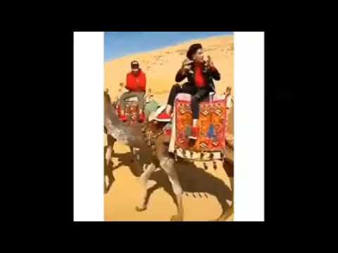 سامر المدنى انا محترم مش محتر فى شارع الهرم
