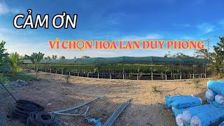 SIÊU live vườn !