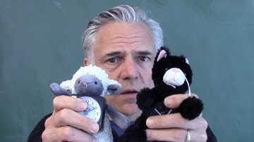 Relativity 05.05.  Proper Time: Part I