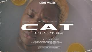 SION MUZIC - Сat | Pop Type Beat | Hip-Hop Type Beat | Rep Type Beat | Trap Type Beat