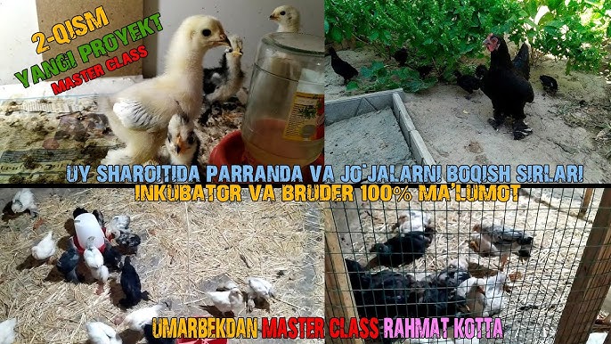 Video jinsiy aloqa onam ukraina Yaponiya jinsiy oyinlar