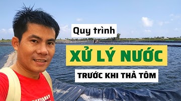 Quy trình xử lý nước trước khi thả tôm | Nguyễn Minh Quốc #28