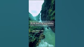 سورة النحل الاية 72-74