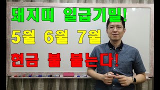 명리학으로 본 23년 계묘년 5월, 6월, 7월의 돼지띠 돈복 운세(47년, 59년, 71년, 83년, 95…