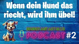 Wenn dein Hund das riecht, wird ihm übel! 🐶 Podcast #002 by Hundefantastisch 63 views 9 months ago 3 minutes, 11 seconds