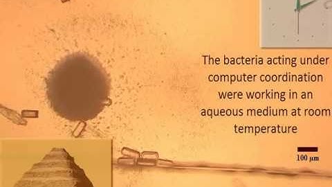 Robotic Micro Assembly Process