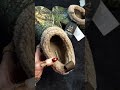 Realtree APX® Classic Lined Shorty Crocs Review – Men's/Women's Camo Fuzzy Clogs