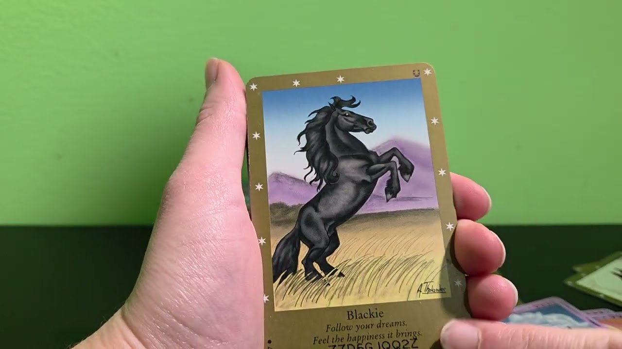 Bella Sara Mystery Bag Episode 5