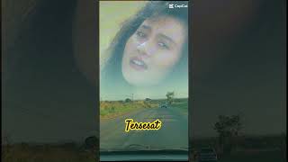 Download Lagu #tersesat#noer halimah ( karya rhoma irama#capcut #shorts MP3