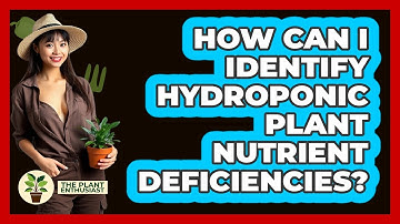 How Can I Identify Hydroponic Plant Nutrient Deficiencies? - The Plant Enthusiast