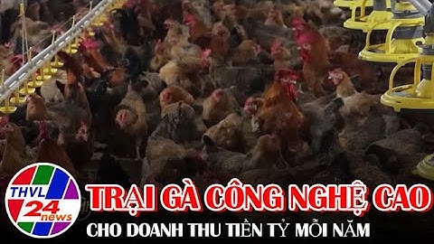 Trại gà công nghệ cao cho doanh thu tiền tỷ mỗi năm