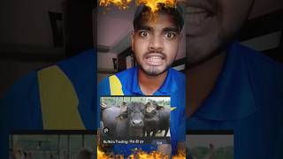 urfhi javed rosted ?..shorts shortvideo youtubeshorts shortsfeed roast