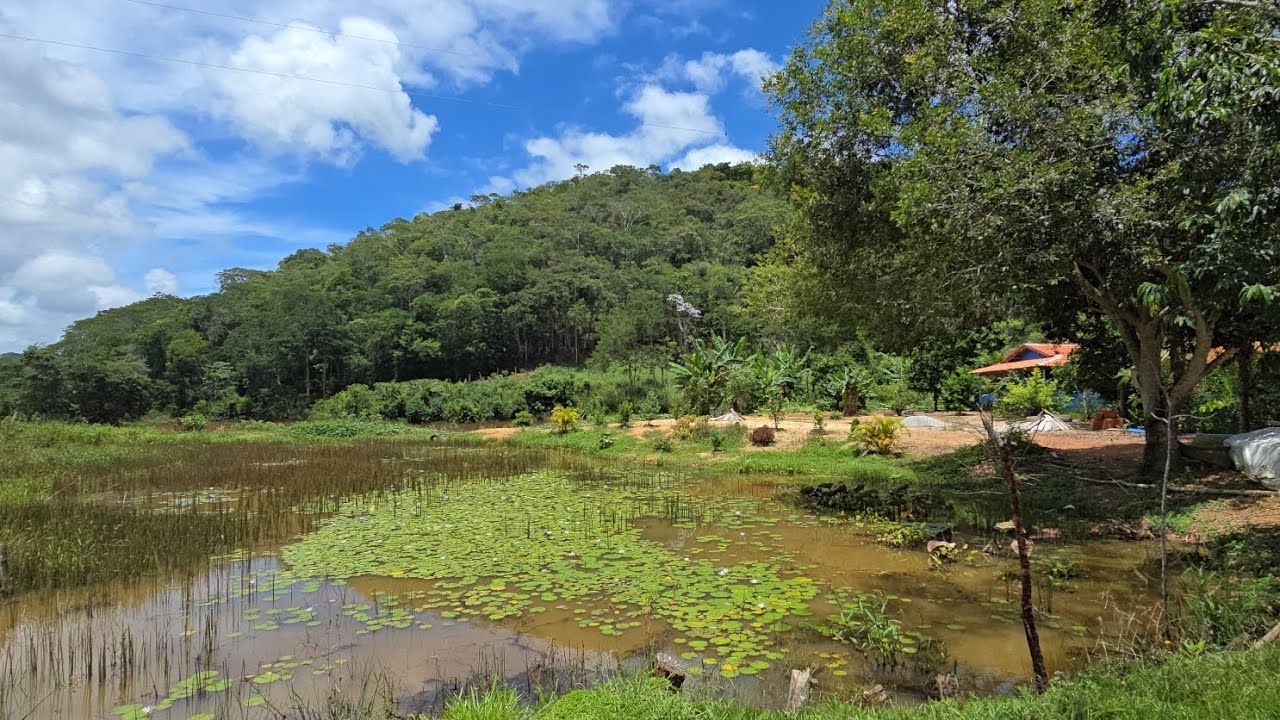 ✨️ VENDO SÍTIO 4.84 HECTARES ✨️ REGIÃO POTE-MG R$320.000.00 ✨️
