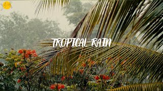 Soothing rain sound | Light rain in tropical forest for sleeping, relaxing, working, studying