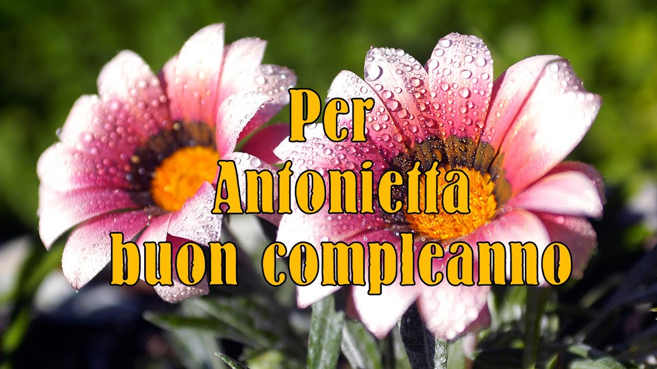 Per Antonietta Youtube