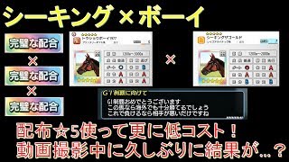 ダビマス シーキングボーイ 久しぶりに動画撮影中に結果が 第251回ダービースタリオンマスターズ攻略 Youtube