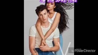 Shawn Mendes, Camila Cabello- Señorita(Romanian Lyrics)