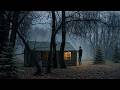 ASMR Camp | Lost in the Woods - a tranquil camping atmosphere at night #asmr #camping #relaxing
