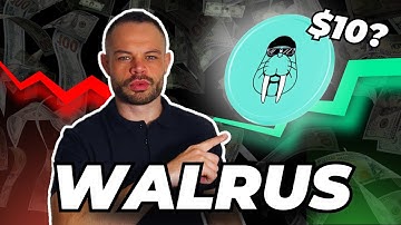 Walrus Protocol Is The FUTURE of Decentralized Storage!