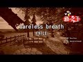 【カラオケ】careless breath/EXILE