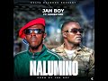 Jah Boy Ft Under Gee Nalumino Official Audio Jah Boy Ft Under Gee Nalumino Official Audio