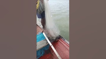 the best amazing Hand Net fishing 🐠🐠🐟 #vairalshort ##fishing  video