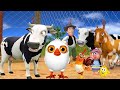 El Pollito pío 3d - el Toro y el Tractor de la Granja Part#83-el Pollito y el Tractor de la Granja🐣🚜