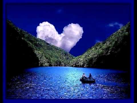 გამეფებულა