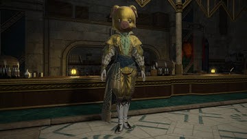 FFXIV 4.5 Unmasking Adkiragh (Custom Deliveries)