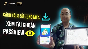 Cách Đăng Nhập MT4 Và Sử Dụng Theo Dõi TK Mình Và Passview  Lãi X2 X3 Tại ACE Group
