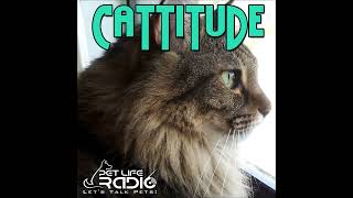Cattitude - Episode 274 Kitten Tsunami: Why Kitten Season Floods Shelters with Felines