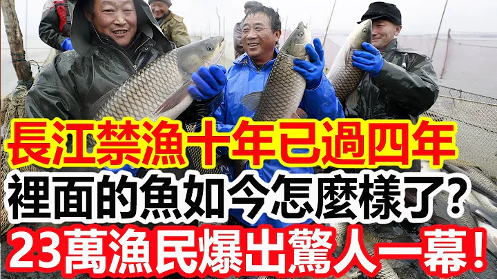 長江禁漁十年已過四年，裏面的魚如今怎麼樣了？ 23萬漁民爆出驚人一幕！ - 天天要聞