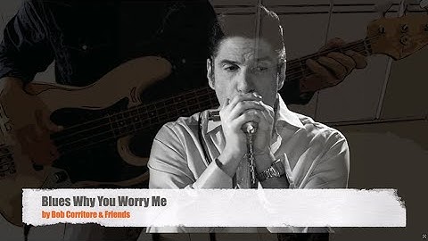 Blues Why You Worry Me by Bob Corritore & Friends - Bass Cover