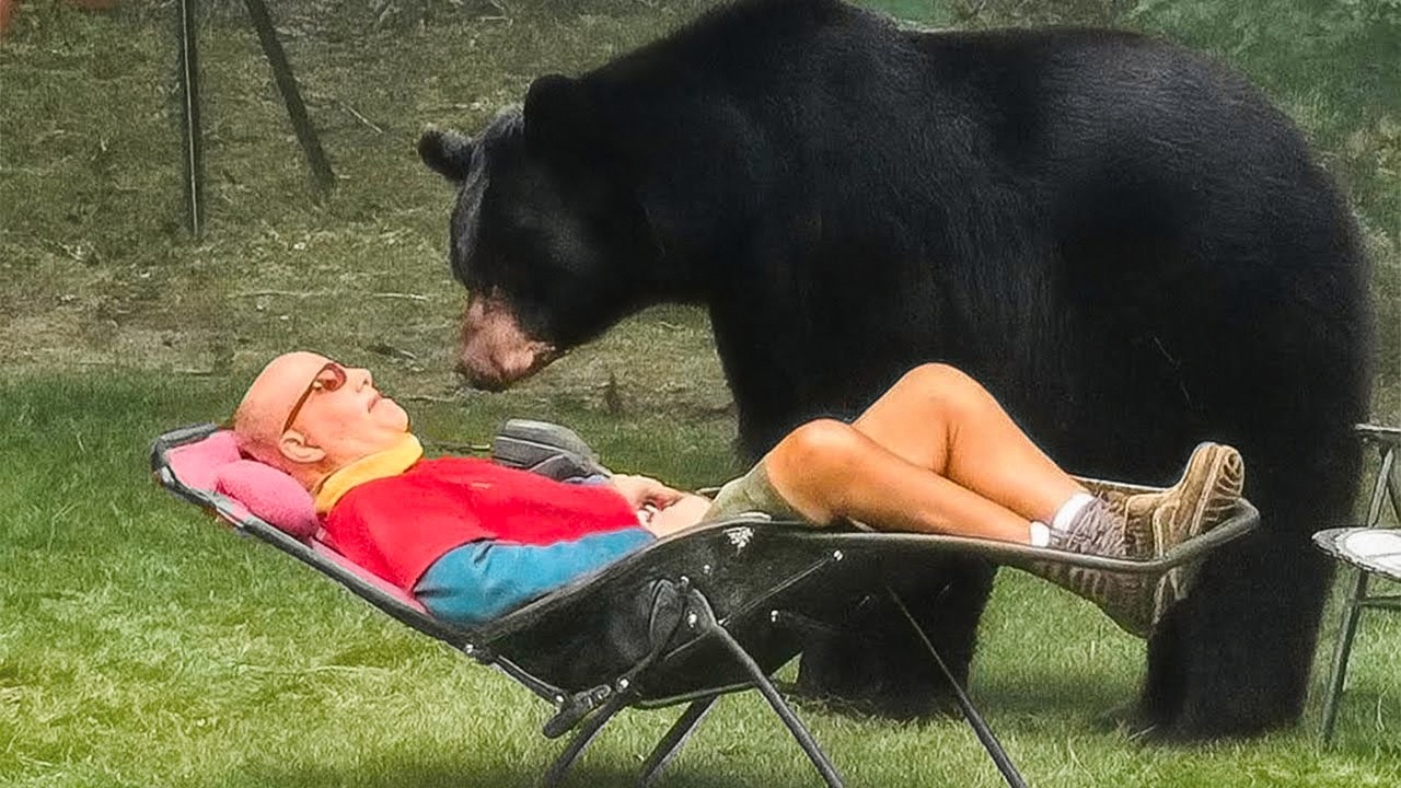 CUANDO LOS ANIMALES PIENSAN QUE NADIE ESTÁ MIRANDO 😂 EDICIÓN PATIO TRASERO