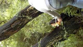 Burt Butcrack Gets A Banger Up The Bum