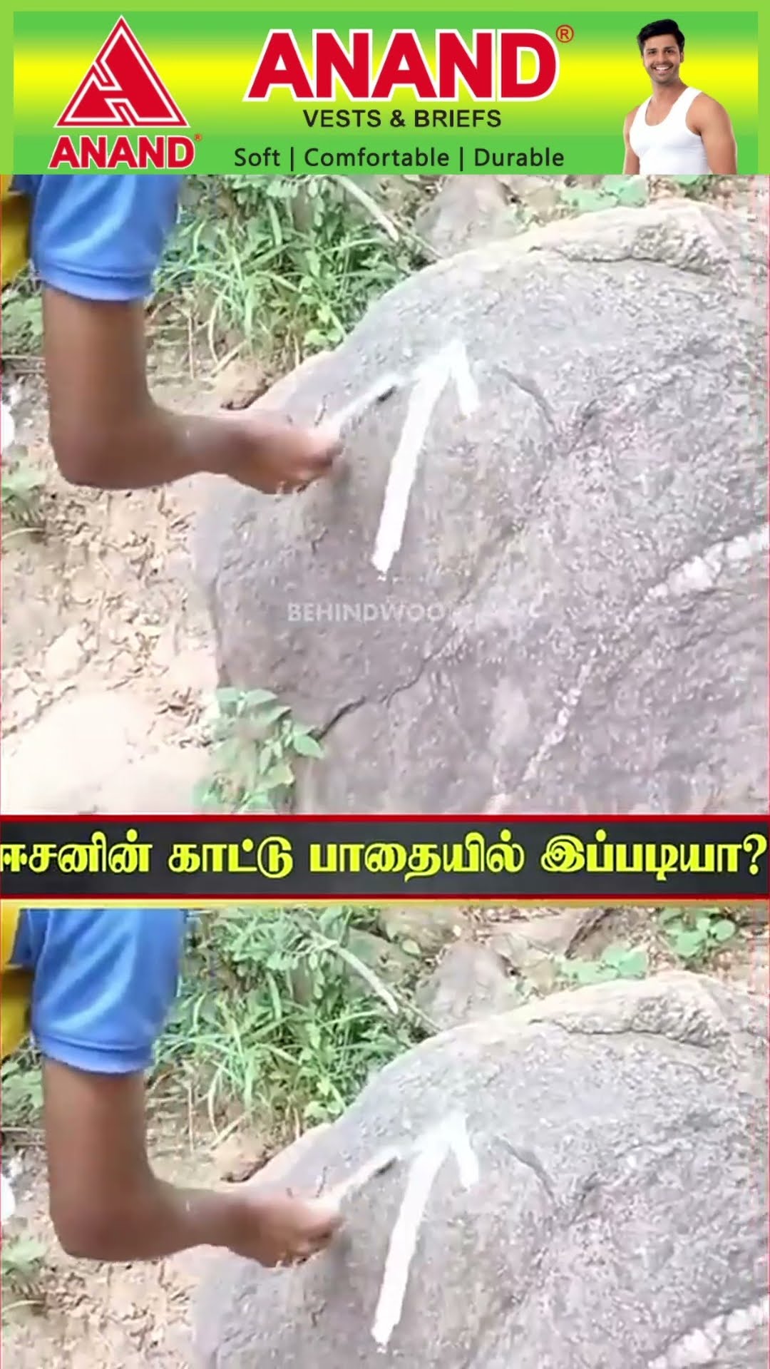 Ohm Nama Shivaya ??'ஈசனின் காட்டுப்பாதையில் இப்படியா..' ? நெகிழ வைக்கும் அதிசயம்