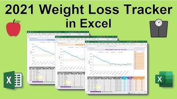 Excel Daily Weight Loss Tracker Spreadsheet to track Weight Loss or Weight Gain Goals for Year 2021🍎