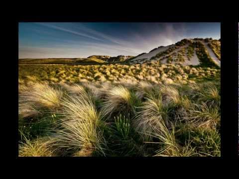 This Life By Mike Howe This Life By Mike Howe
