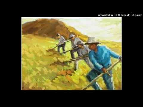 Altın Hızma Mülayim