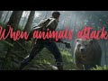 DayZ when animals attack!