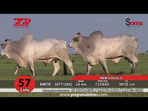 lote 57