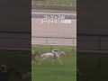 中京競馬場の指定席から見た、ゴージャスのゴージャスな直線の走りを！