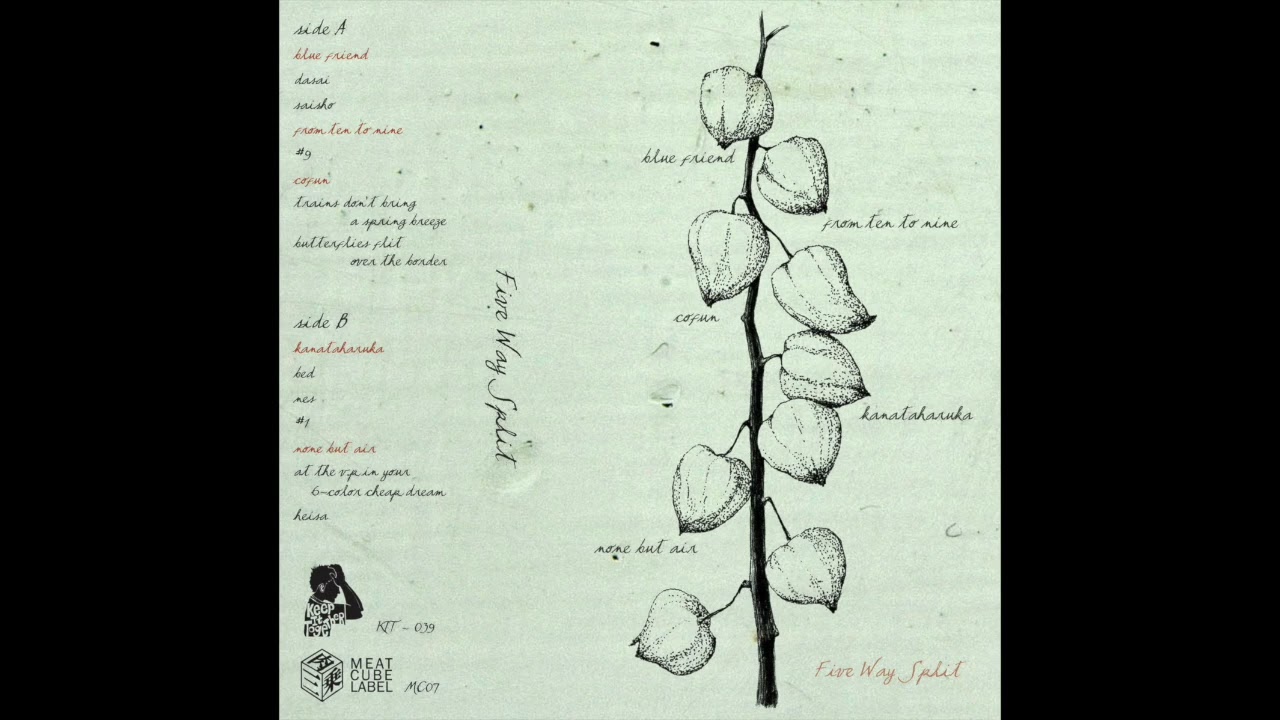 5 Way Split (Full Split 2012) [Emo, Screamo]