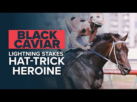 BLACK CAVIAR, CHAUTAUQUA,