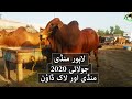 Bakra Mandi Pakistan Mandi Lag Rahi Hai K Nahi - Bakra Eid 2020